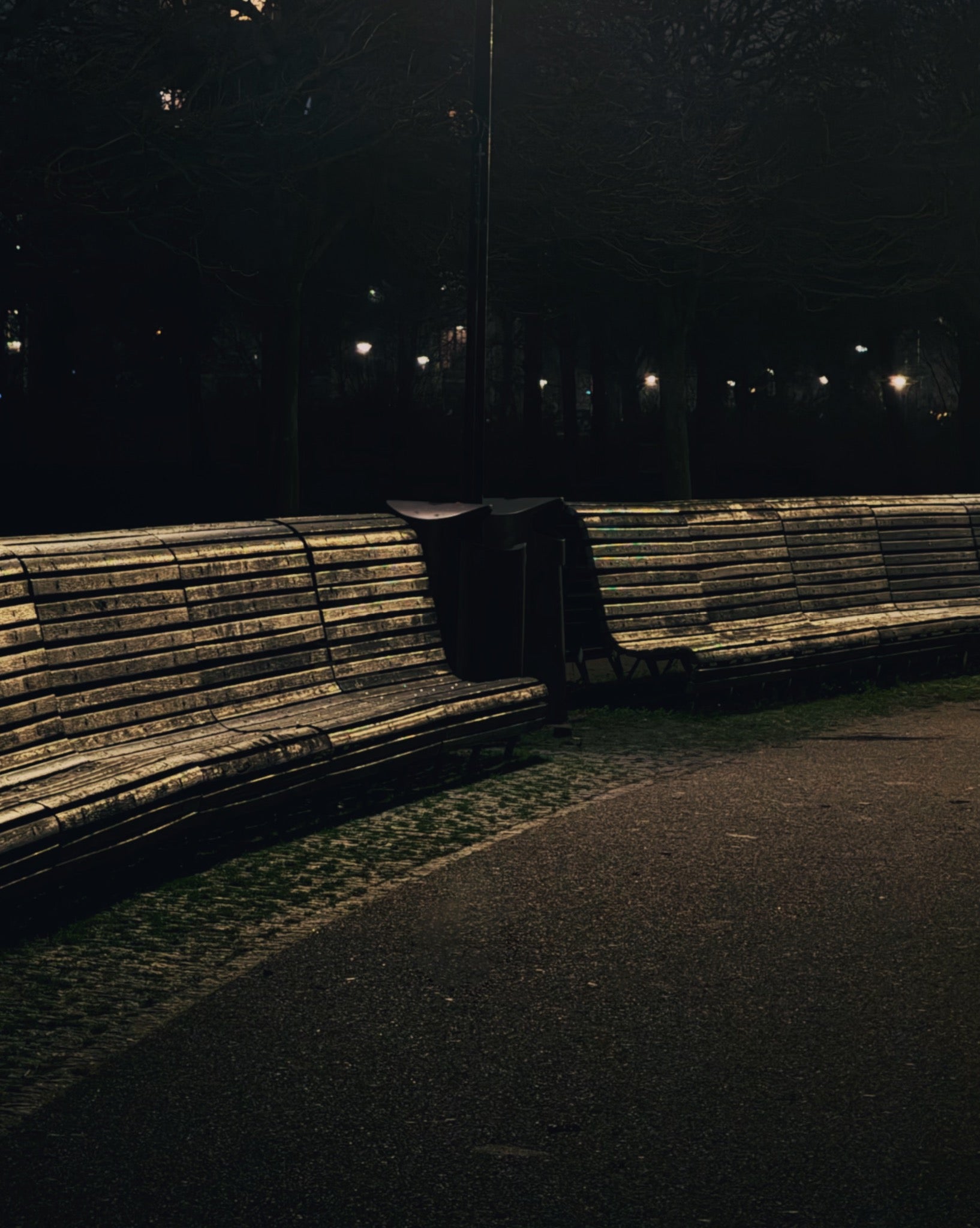 Benches of the Frankendael park