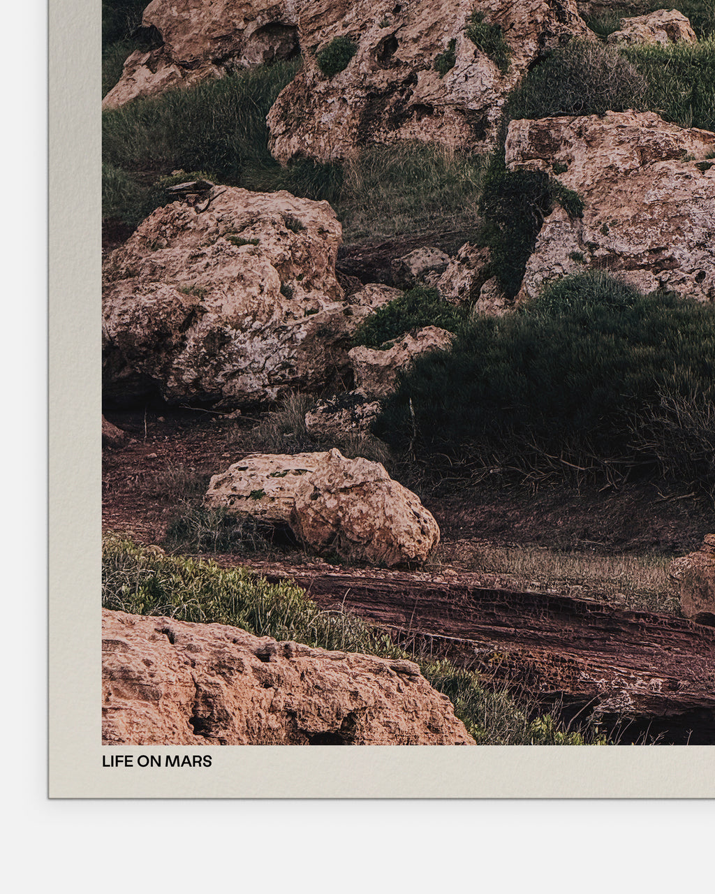 Life on Mars