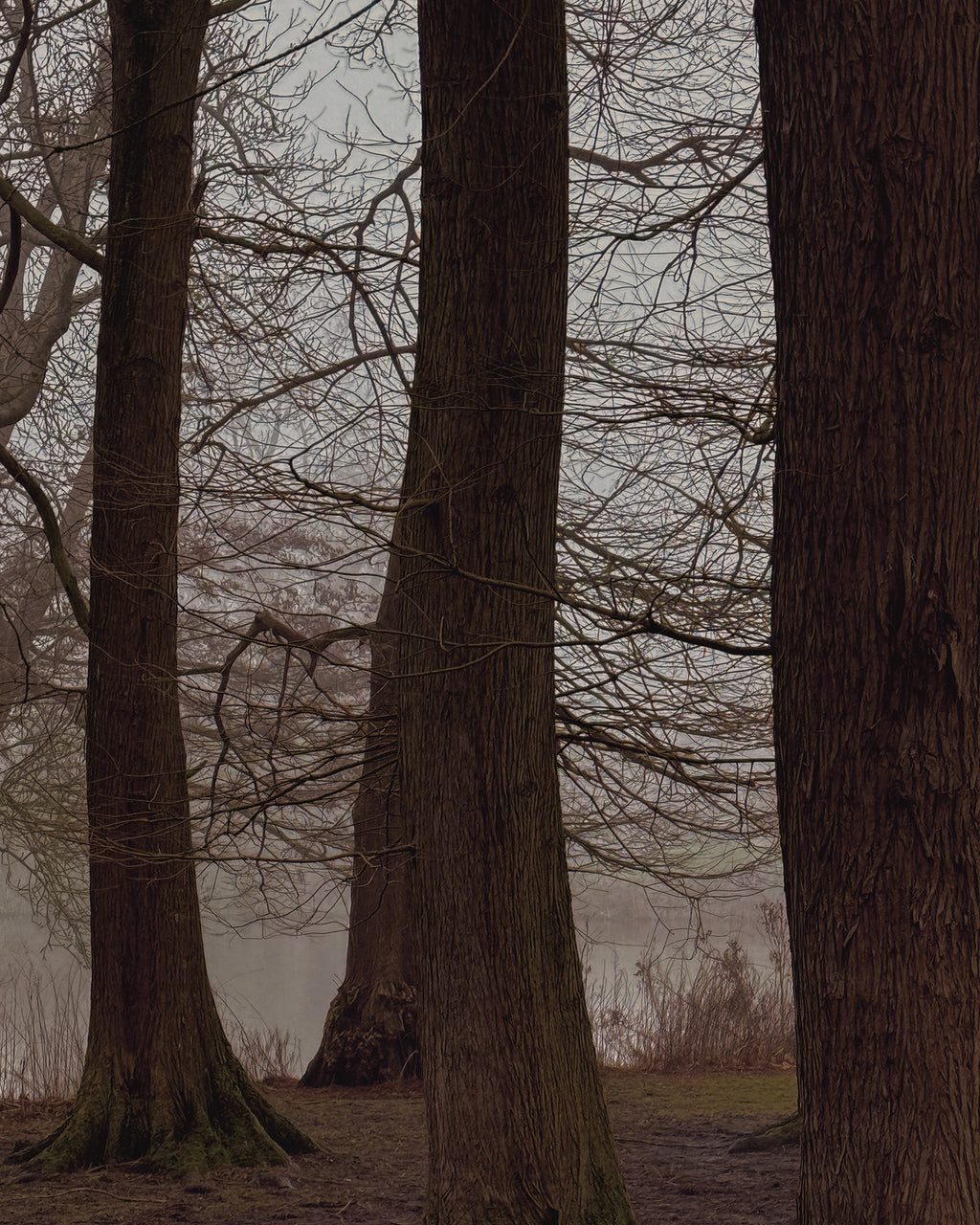 Nobody’s Gonna Know