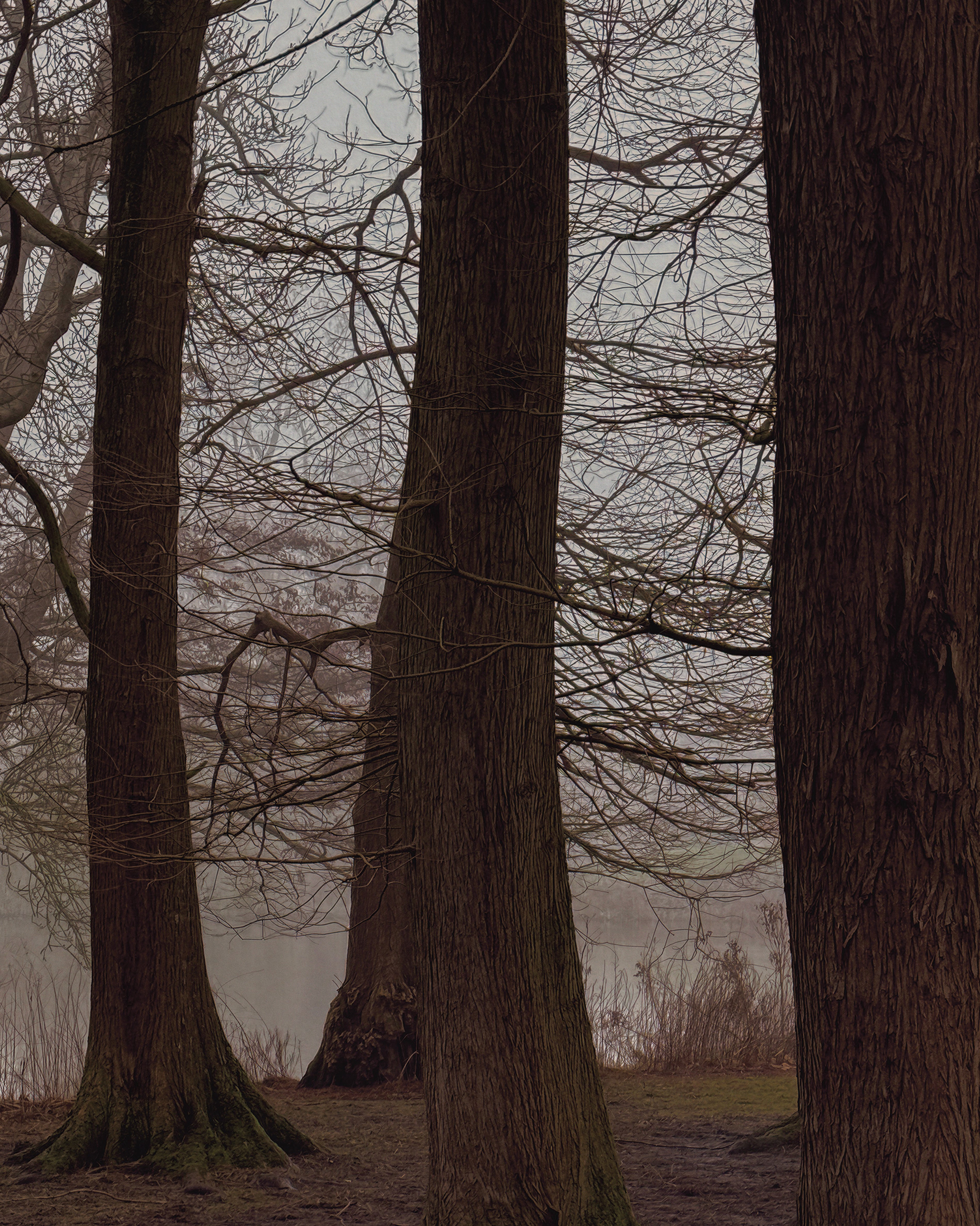 Nobody’s Gonna Know