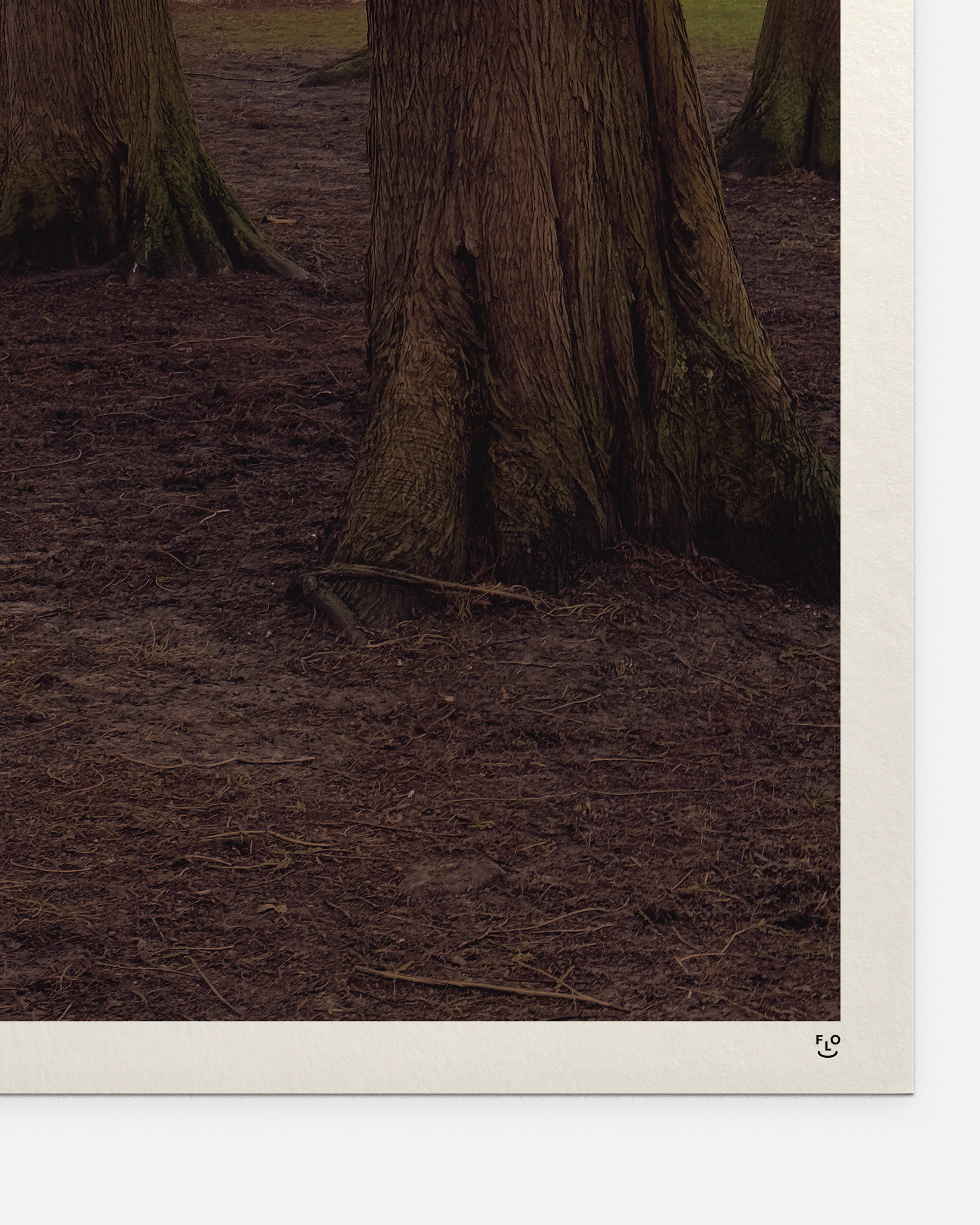 Nobody’s Gonna Know