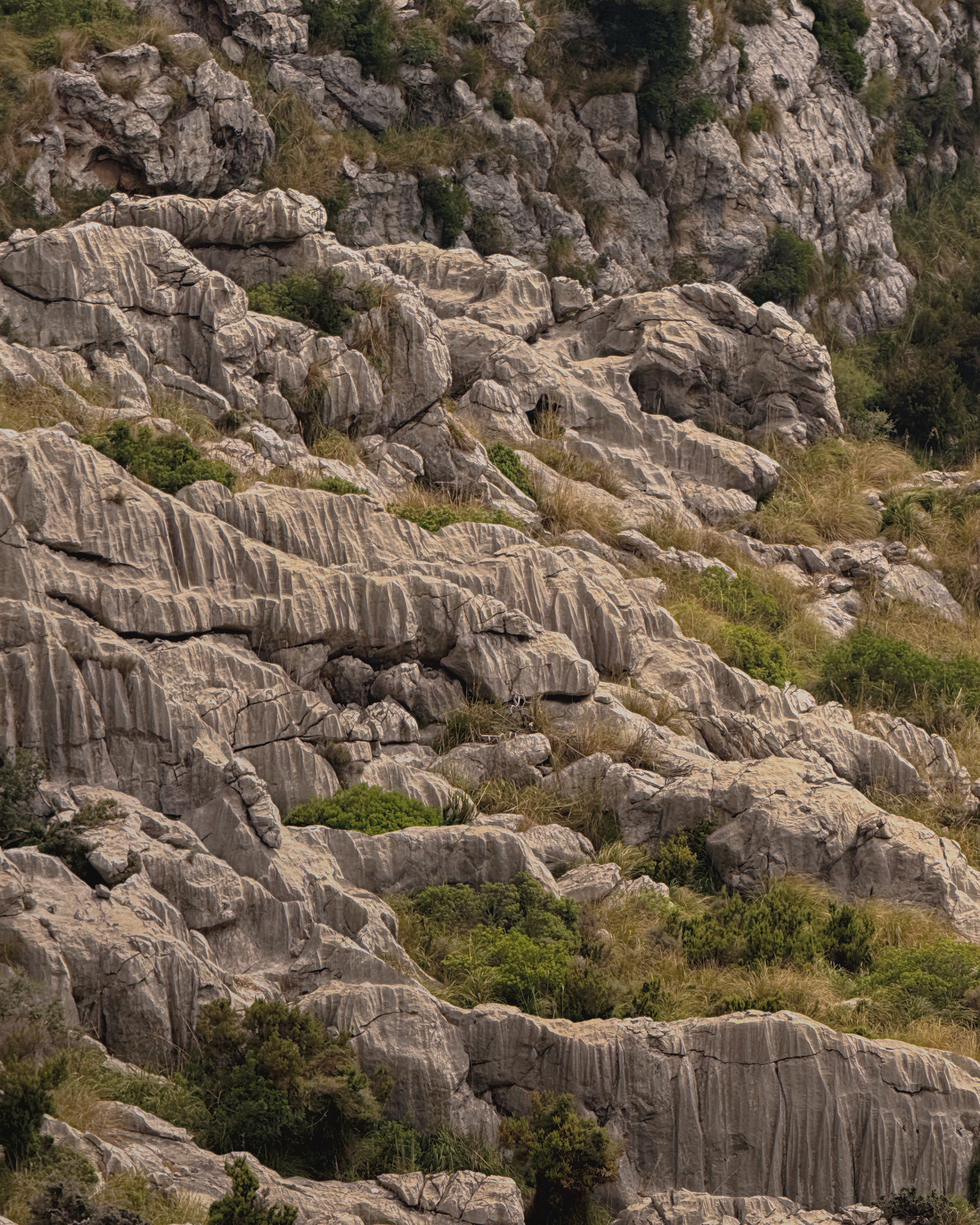 Thank You for Trusting Me