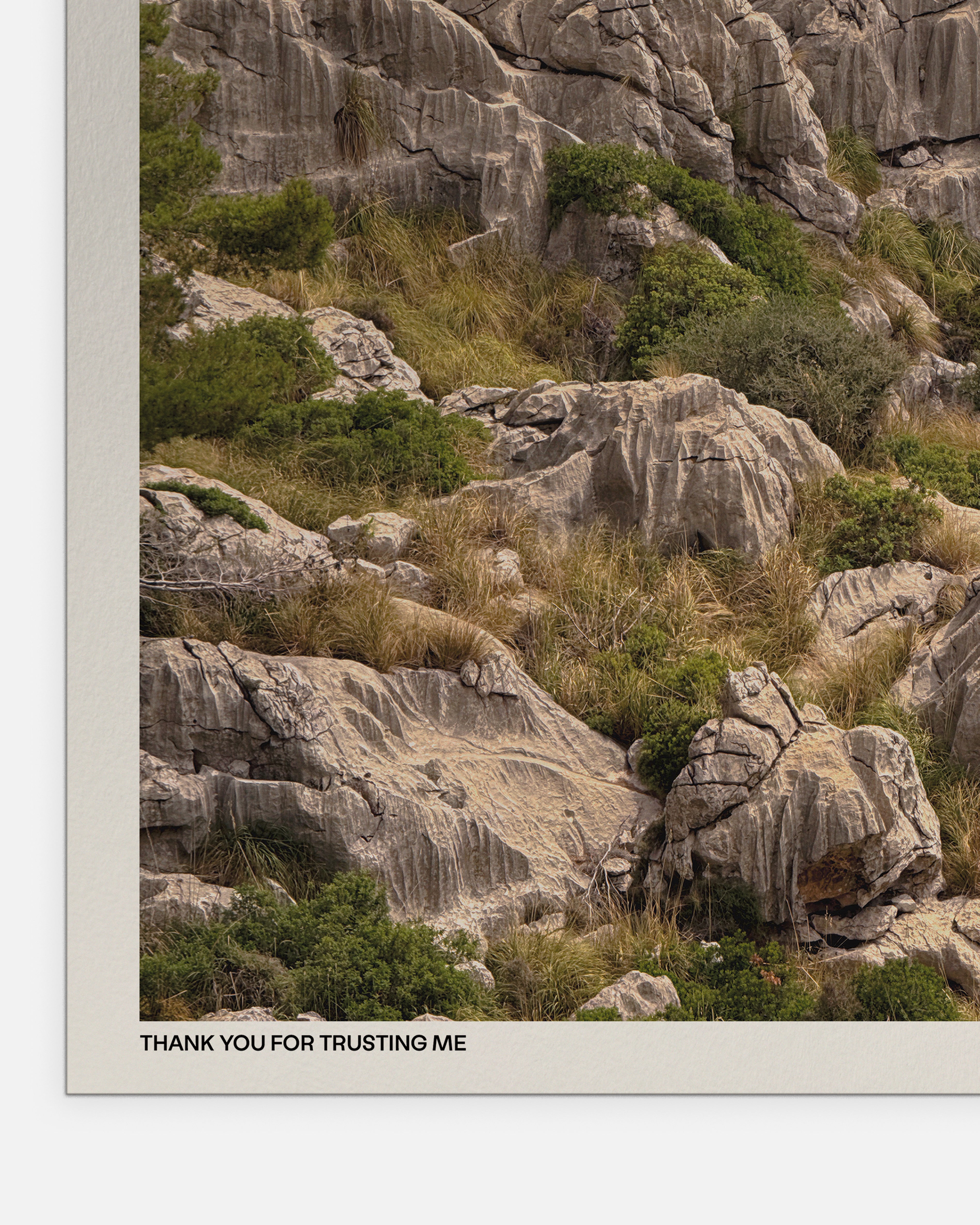 Thank You for Trusting Me