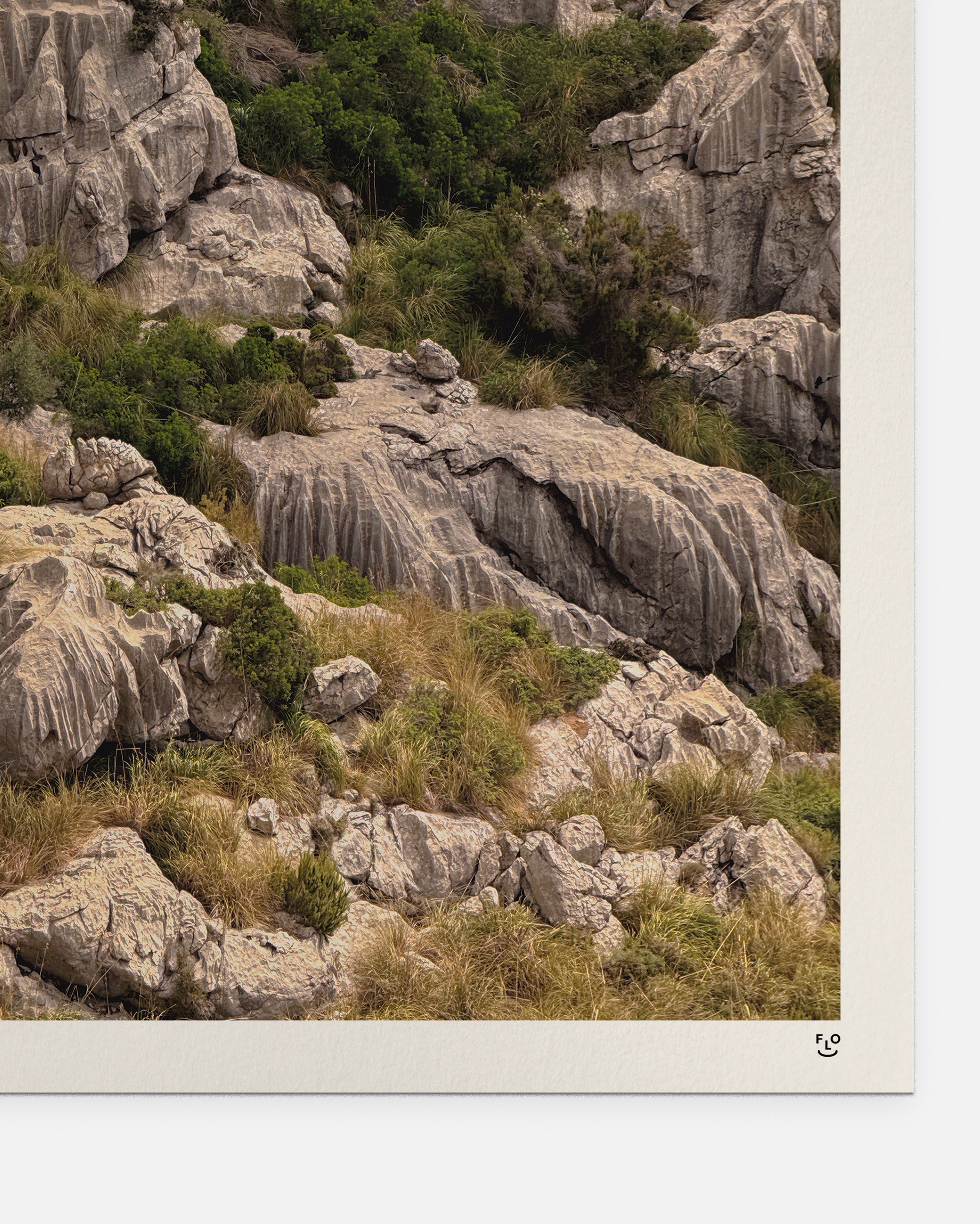 Thank You for Trusting Me